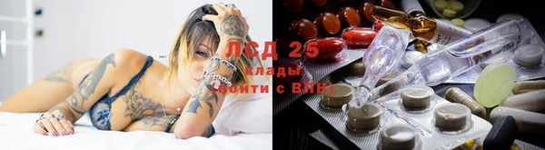 стаф Карталы