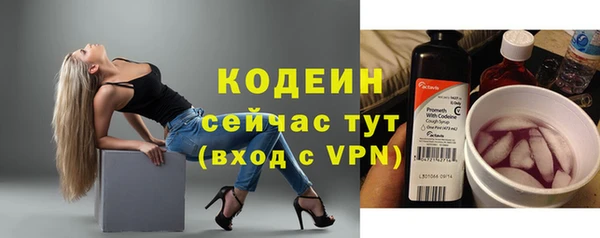 ECSTASY Каменка