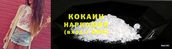 тгк Касимов
