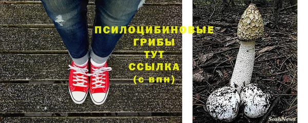 тгк Касимов