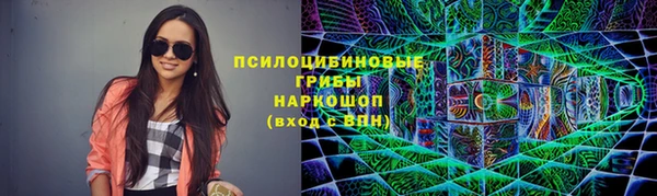 ECSTASY Каменка