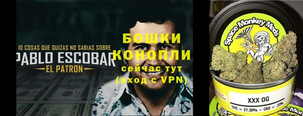 тгк Касимов