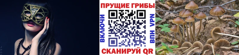 Псилоцибиновые грибы GOLDEN TEACHER  купить наркотики сайты  Удачный 